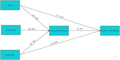 Character strengths as predictors of general and academic self-efficacy in university students